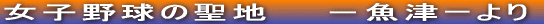 ���q�싅�̐��n�@�@�|���Á[���